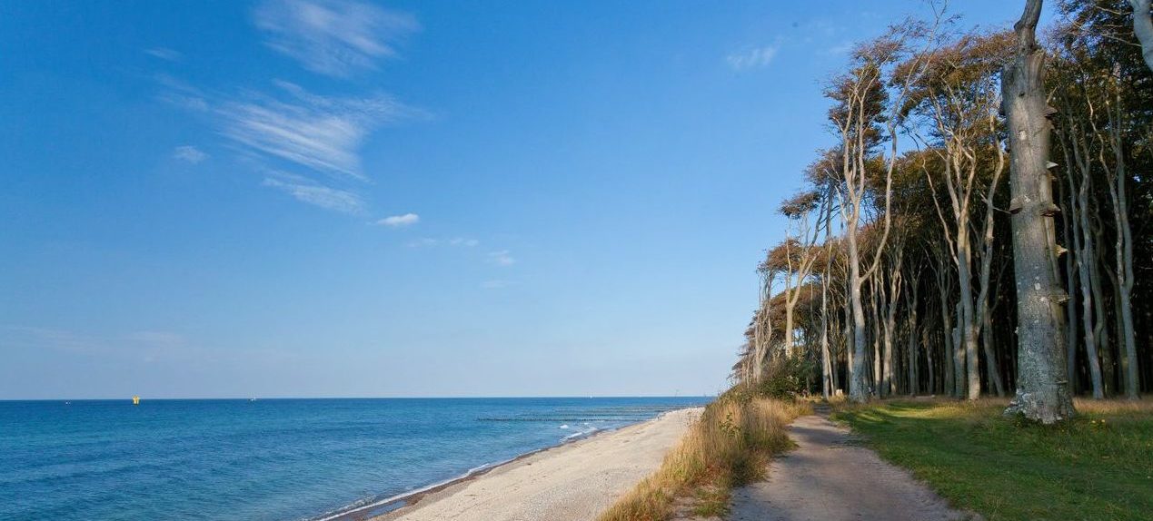 Schönste Strände der Ostsee: Gespensterwald bei Nienhagen