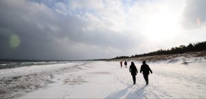 Strandspaziergang im Winter