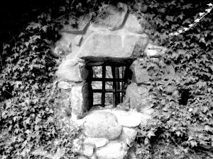 Wasserturm Lietzow Waldpark Semper auf Rügen