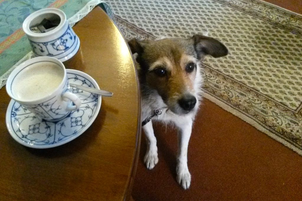 Dass sich hier ein Hund zum Pharisäer gesellt, ist kein Zufall: Das Haus, wo das alkoholhaltige Heißgetränk einst erfunden wurde, ist heute ein Hundehotel.