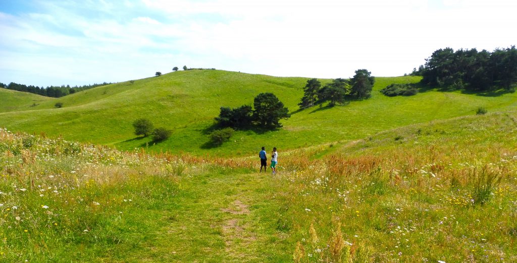 Wandern in den Zickerschen Bergen