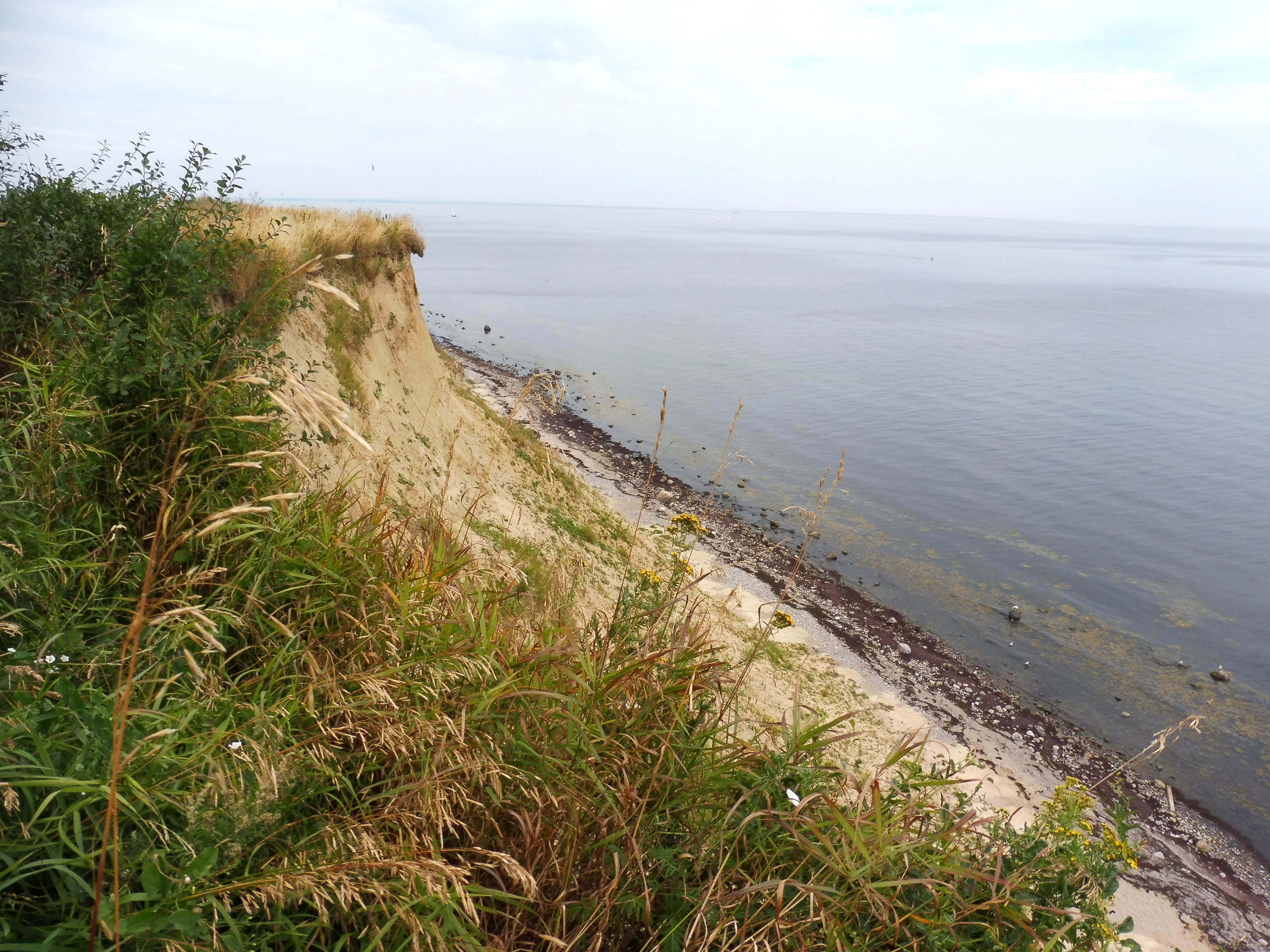 Steilküste von Boltenhagen bei Redewisch zweiküsten