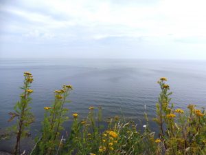 Aussicht Steilküste Boltenhagen