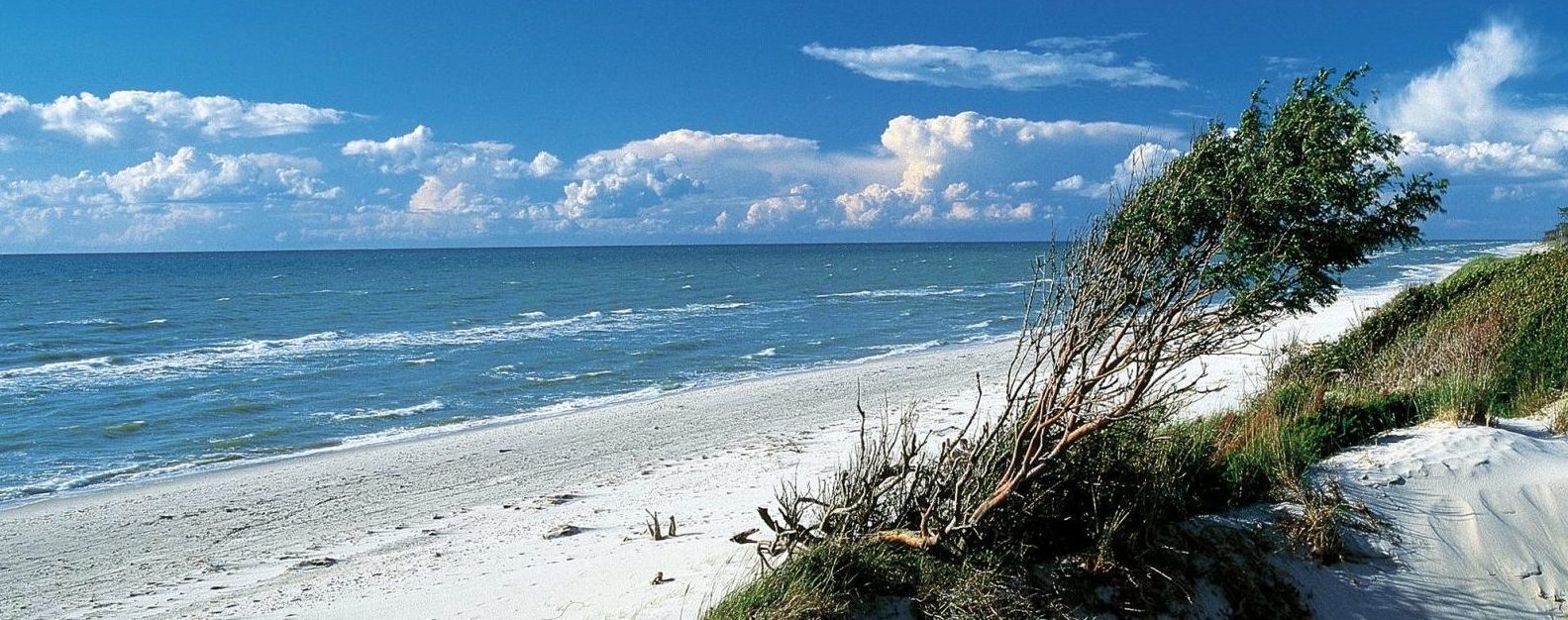 Schönste Strände der Ostsee: Westrand auf dem Darss