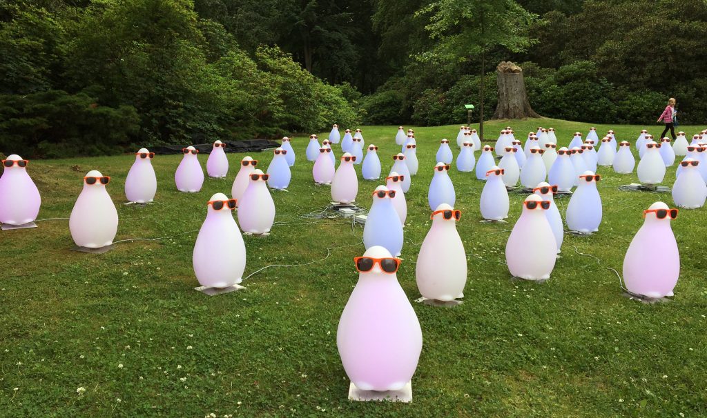Installation Pinguine im Rhododendronpark in Graal-Müritz