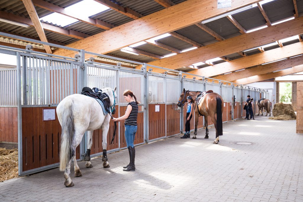 Stall im Reiterhof Witt Küselhof Foto: Britta Ahlström