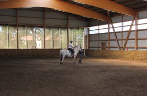 Reithalle Reitstunde Longe Küselhof Witt Fehmarn