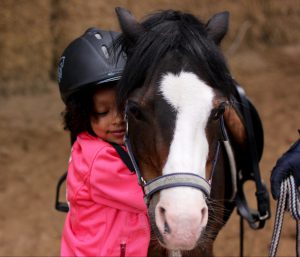 Reiten lernen auf Fehmarn