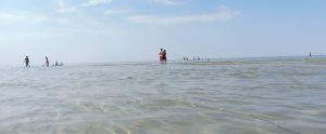 Der Strand von Gollwitz auf Poel Sandbank