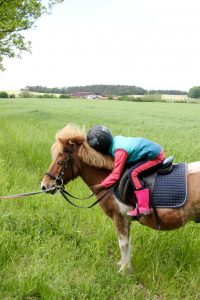 Ponyreiten Golchener Hof