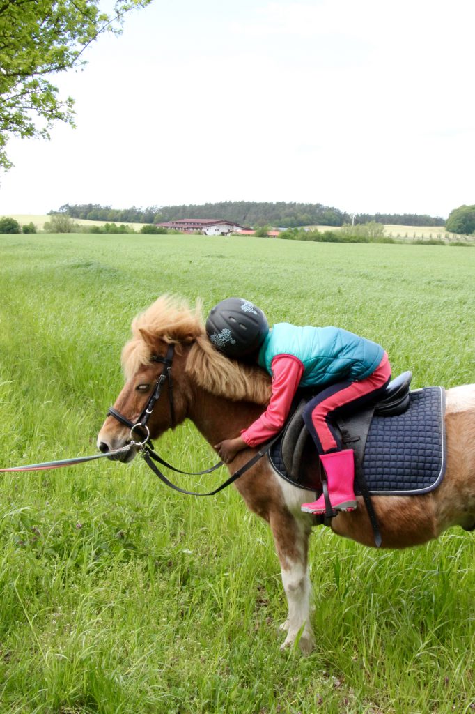 Ponyreiten Golchener Hof