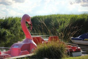 Achterwasser Kikis Bootsverleih Usedom