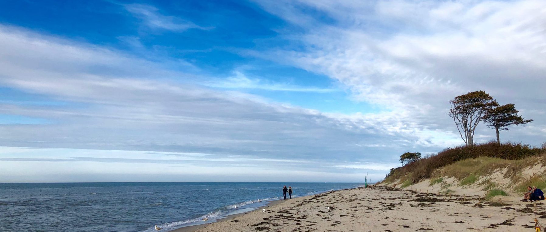 Weststrand auf dem Darss unweit vom Hotel Bernstein in Prerow