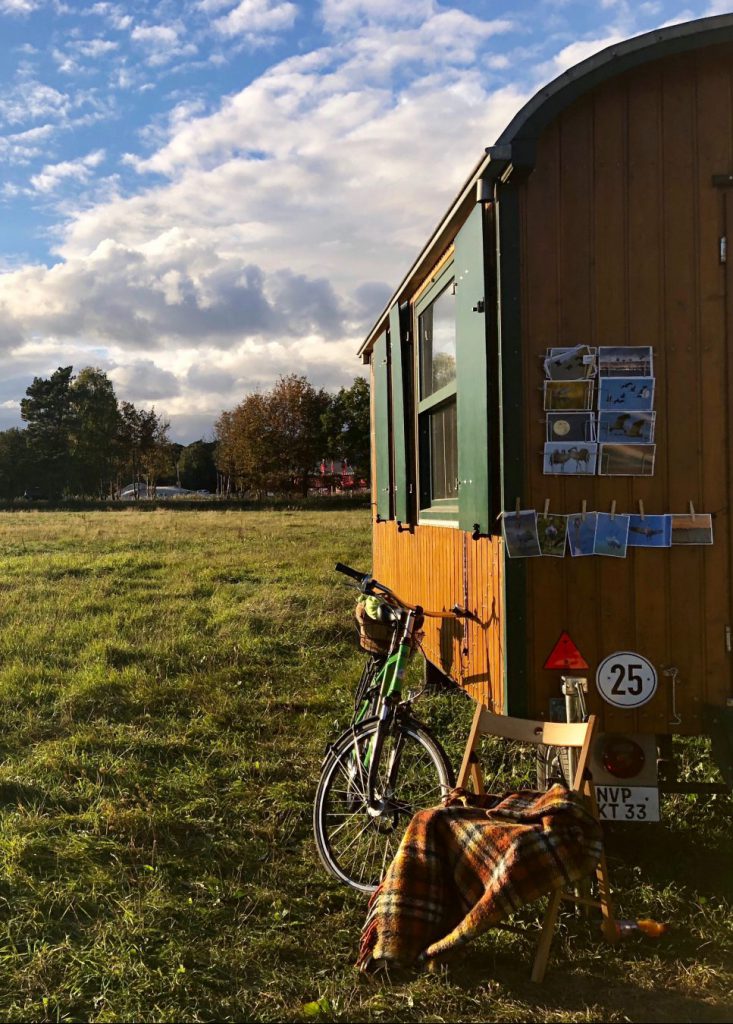 Kranichmobil in Zingst