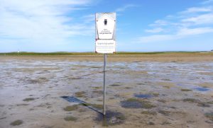 Schild vor Langenwerder