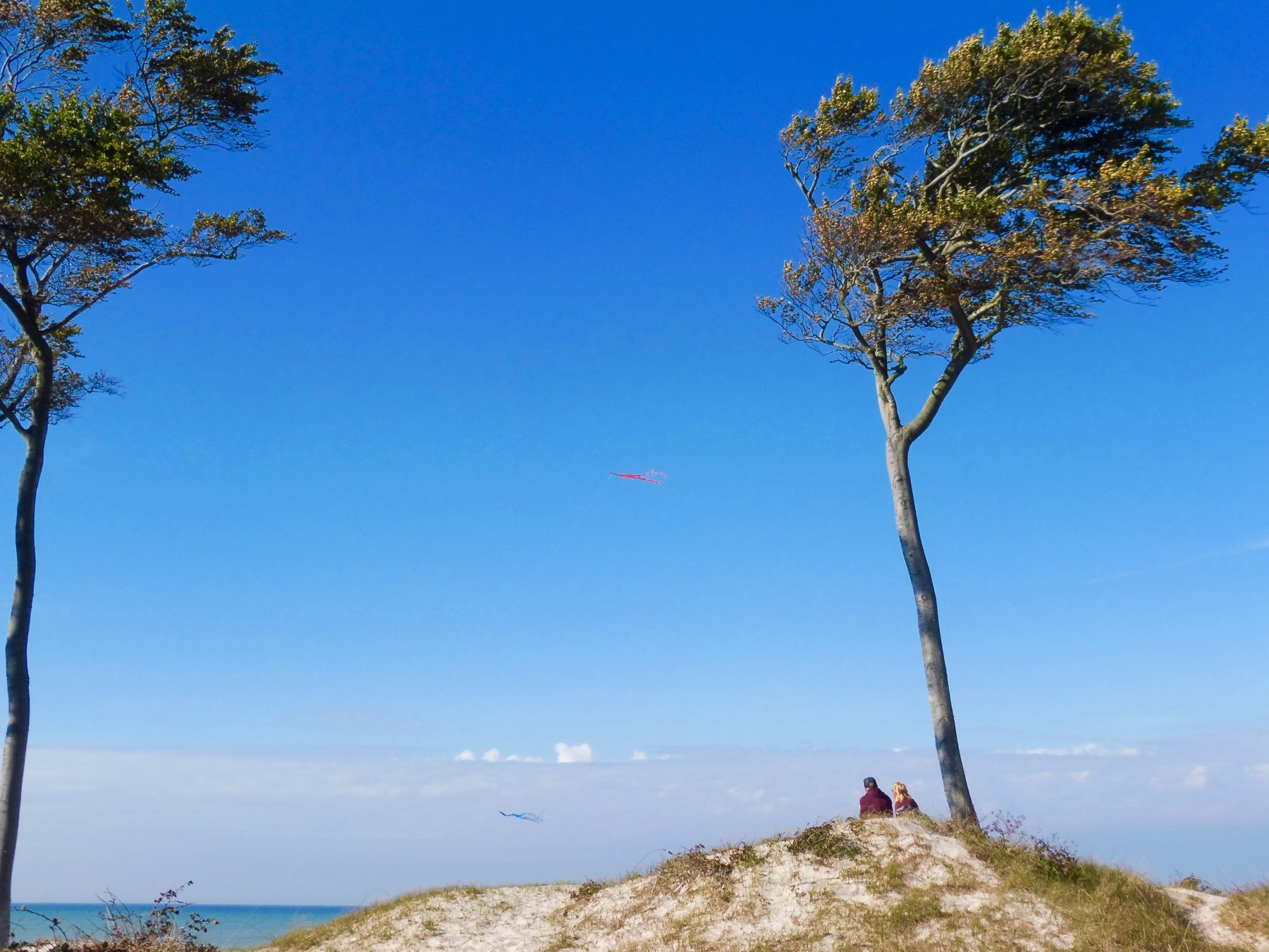 Am Weststrand auf dem Darss