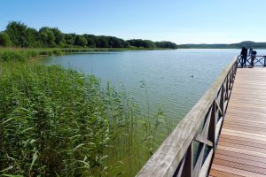 Park der Sinne Binz auf rügen