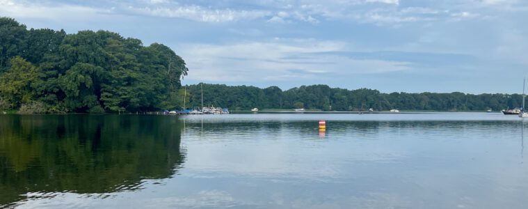 SUP Tour Tegeler See