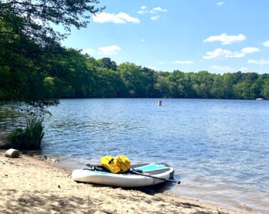 Strand vom Kleinen Müggelsee