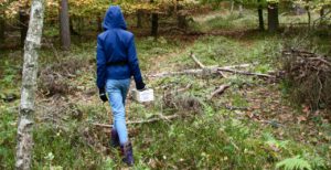 Pilzesammlerin im Wald von Prora